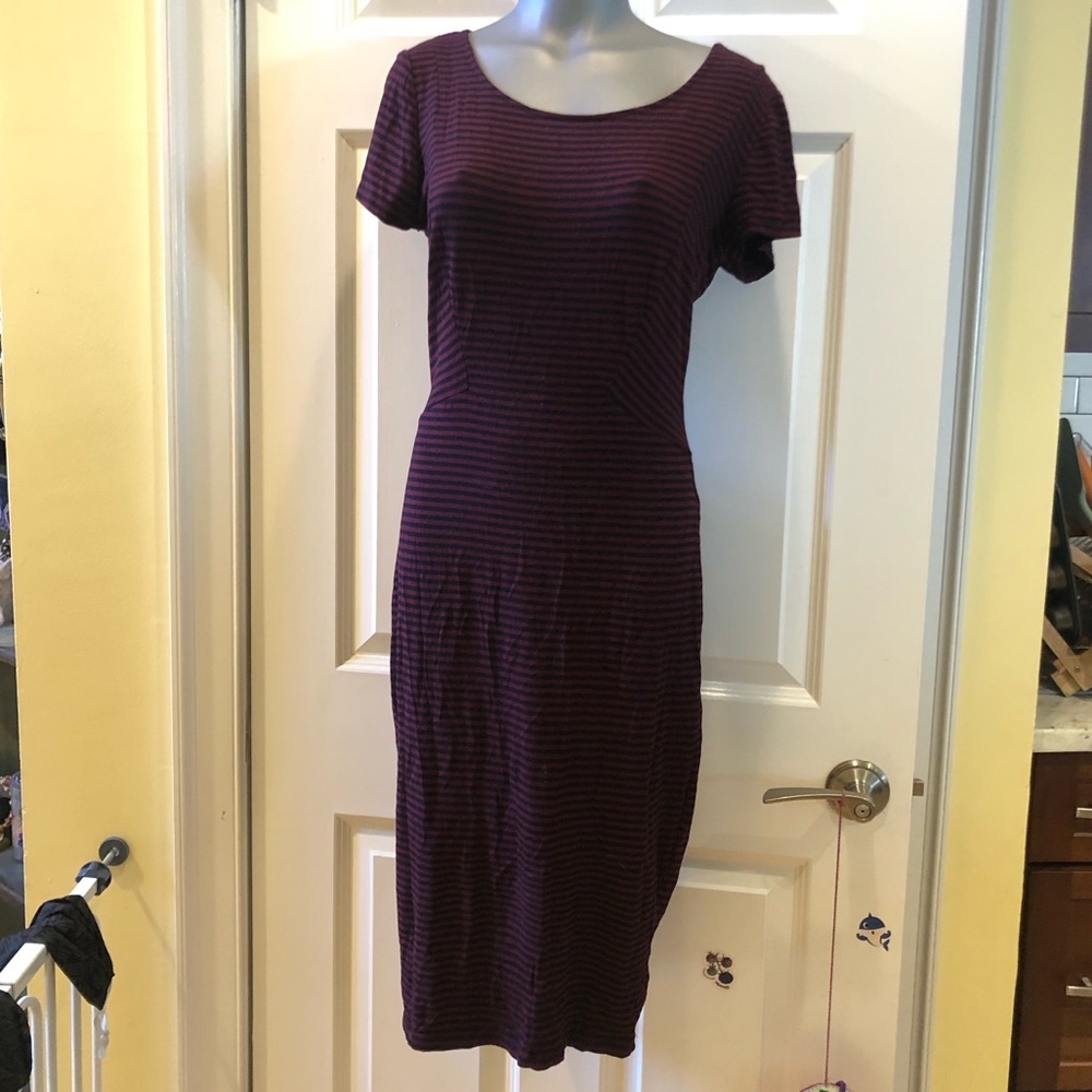 Philosophy midi dress ❤️ NWOT!